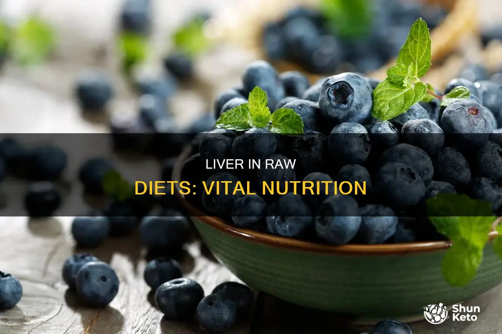 why liver important raw diet