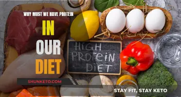 Protein Power: Essential Dietary Building Blocks for Health
