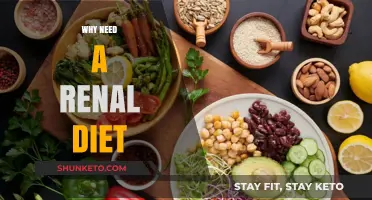 Kidney Health: Renal Diet for Better Kidney Function