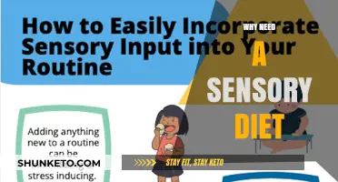 Sensory Diet: A Personalized Approach to Self-Regulation