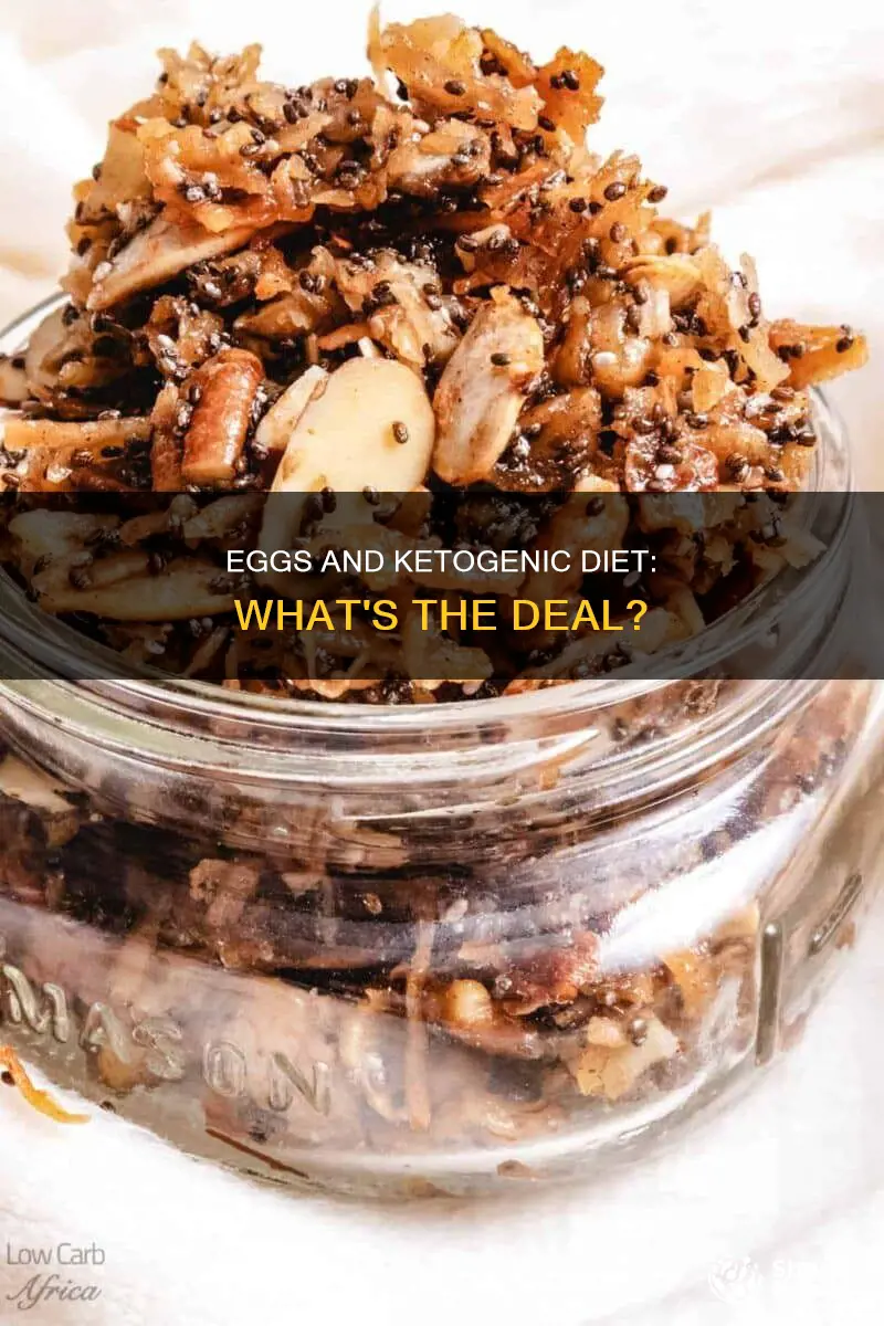why no eggs on ketogenic diet