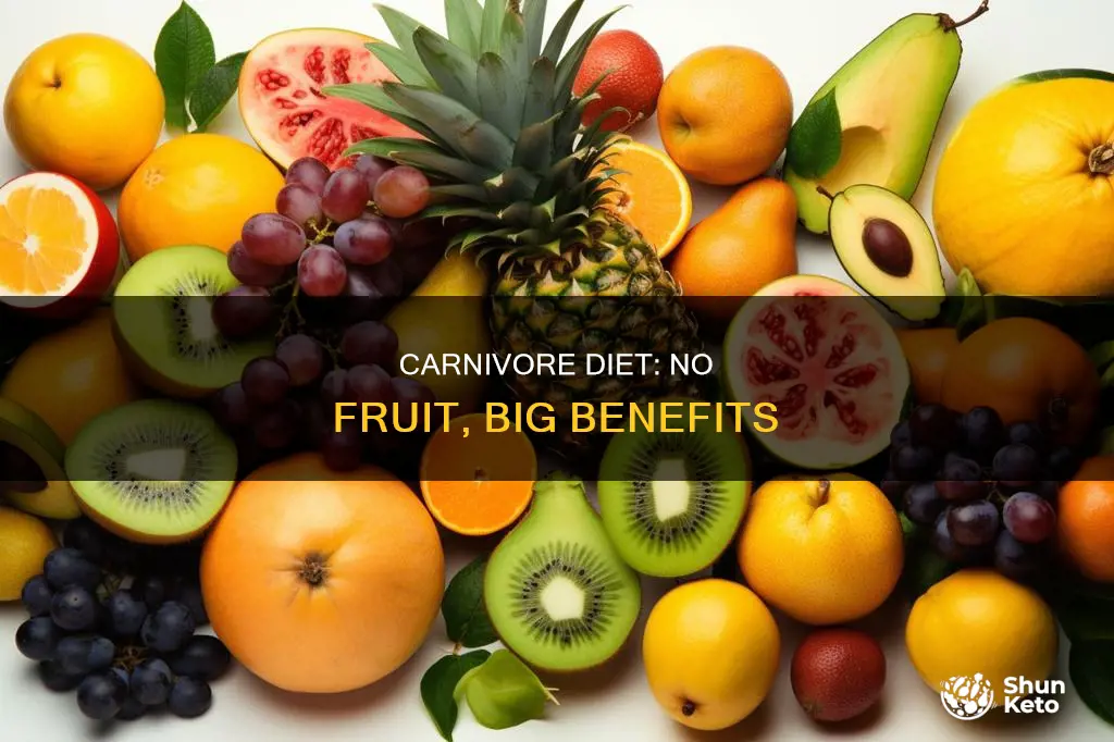 why no fruit on carnivore diet