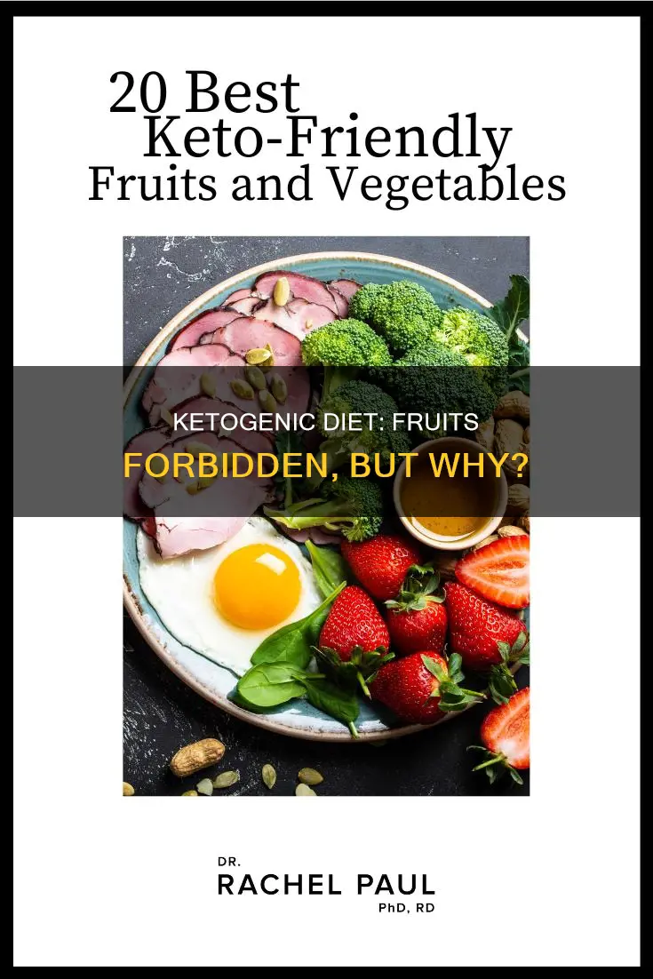 why no fruit on ketogenic diet