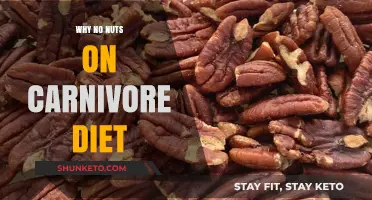 Carnivore Diet: Nuts Are Not Your Friends
