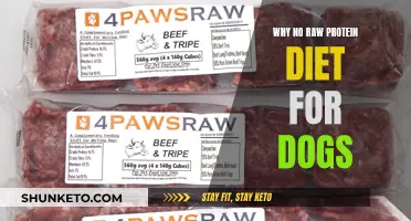 Raw Protein: A Dangerous Diet for Dogs