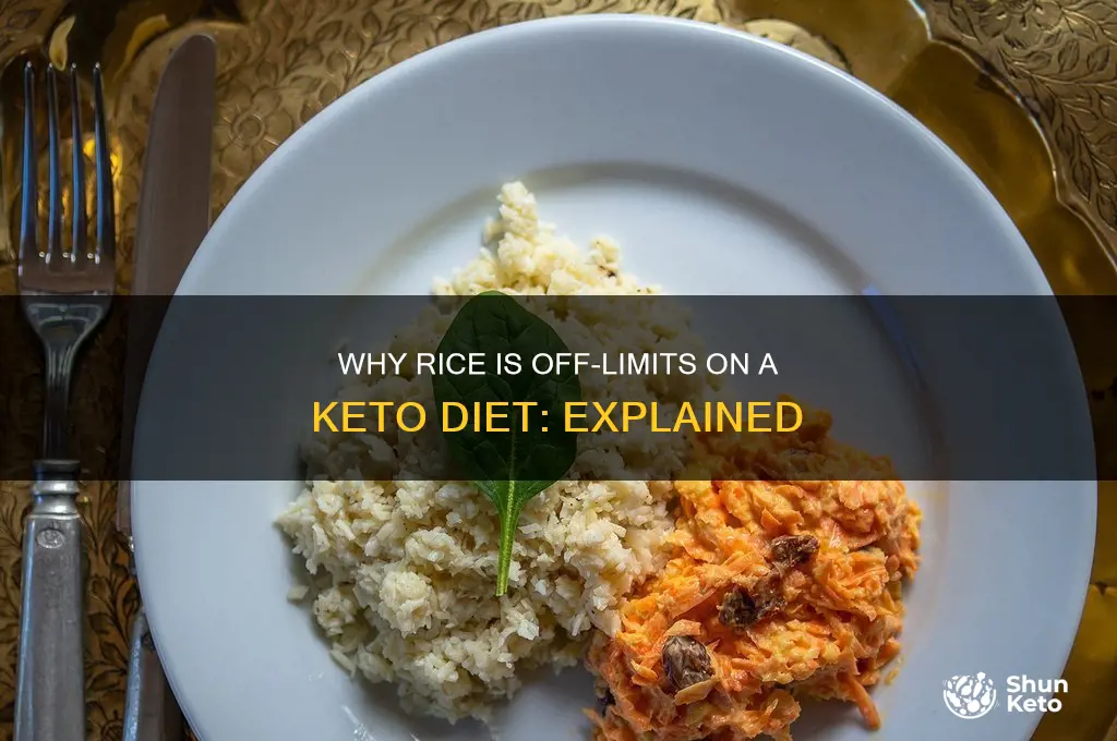 why no rice on keto diet