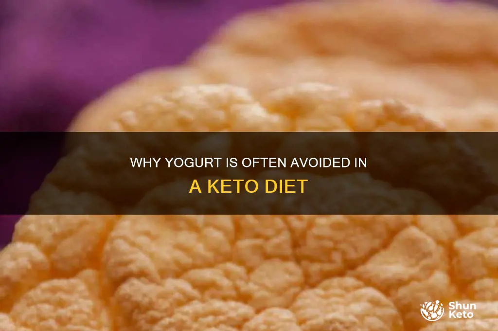 why no yogurt in keto diet