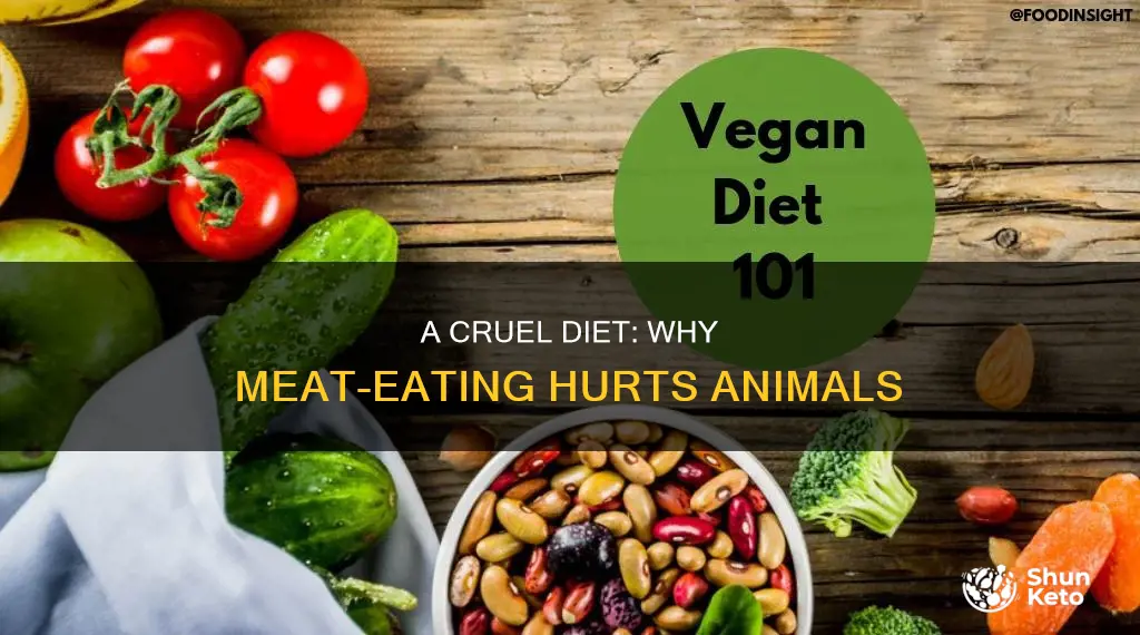 why non vegetarian diet ba for animals