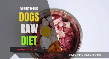 Raw Diet Risks: Why Your Dog Should Avoid It