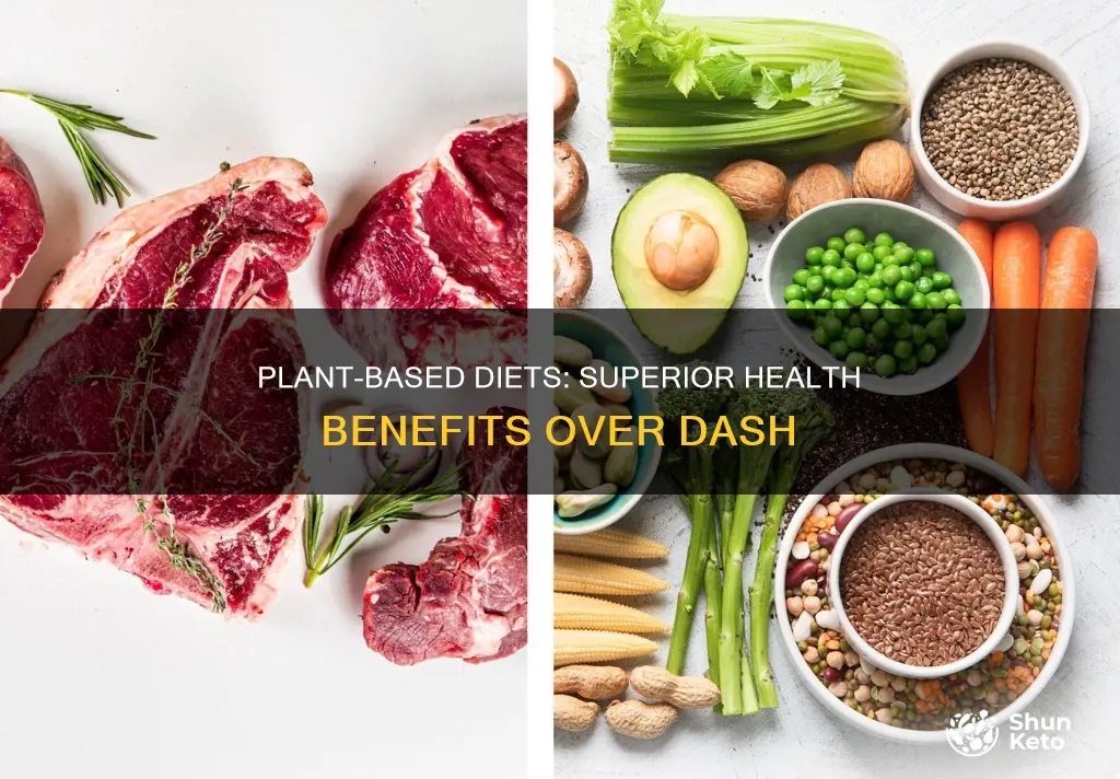 why plant base diets are better than the dash deit