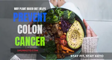 Plant-Based Diets: Colon Cancer Prevention Strategy