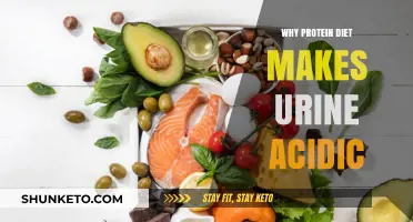 Protein Diets: Acidic Urine's Unseen Cause