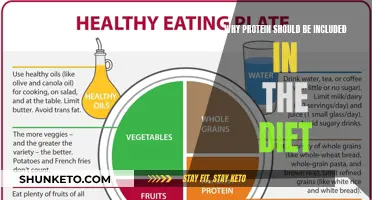 Protein Power: Essential Diet Inclusion for Health