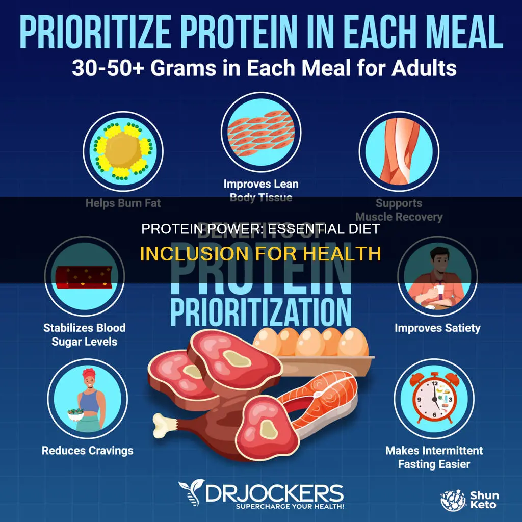 why protein should be included in the diet