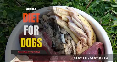 Raw Diet for Dogs: Healthier, Happier, Longer Lives