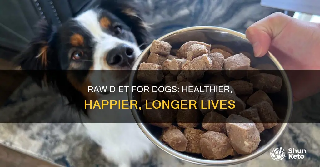 why raw diet for dogs