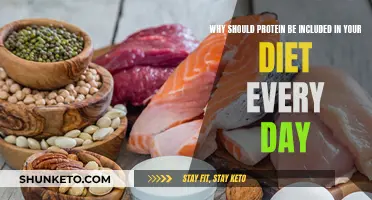 Protein Power: Essential for Daily Diet