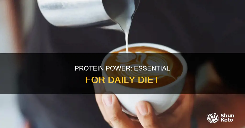 why should protein be included in your diet every day