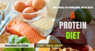 Hydration: Post-Protein Diet Must