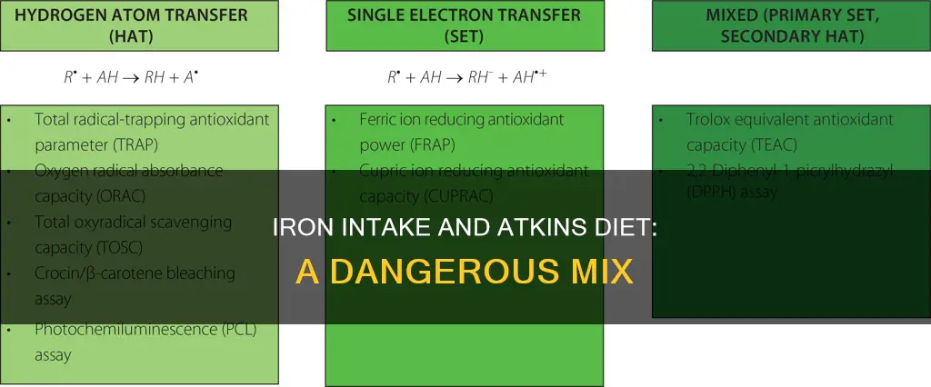 why should you not take iron on atkins diet