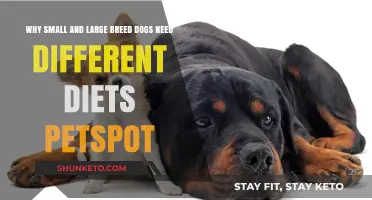 Small and Large Dogs: Different Diets for Different Needs