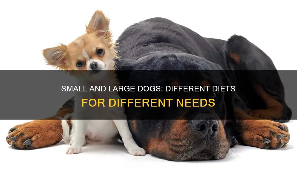 why small and large breed dogs need different diets petspot