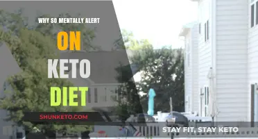 Keto Clarity: Unlocking Mental Alertness on a Low-Carb Diet