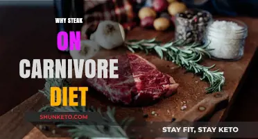 Steak on Carnivore Diet: The Ultimate Energy Source