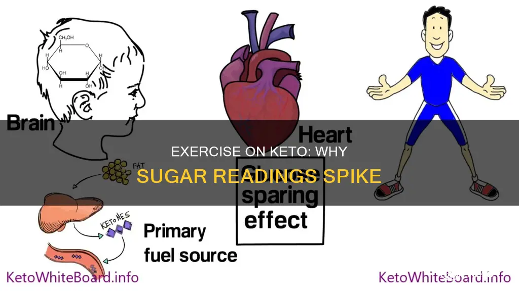 why sugar reading is higher after exersize on keto