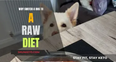 Switching Your Dog to Raw: Health Benefits and Drawbacks