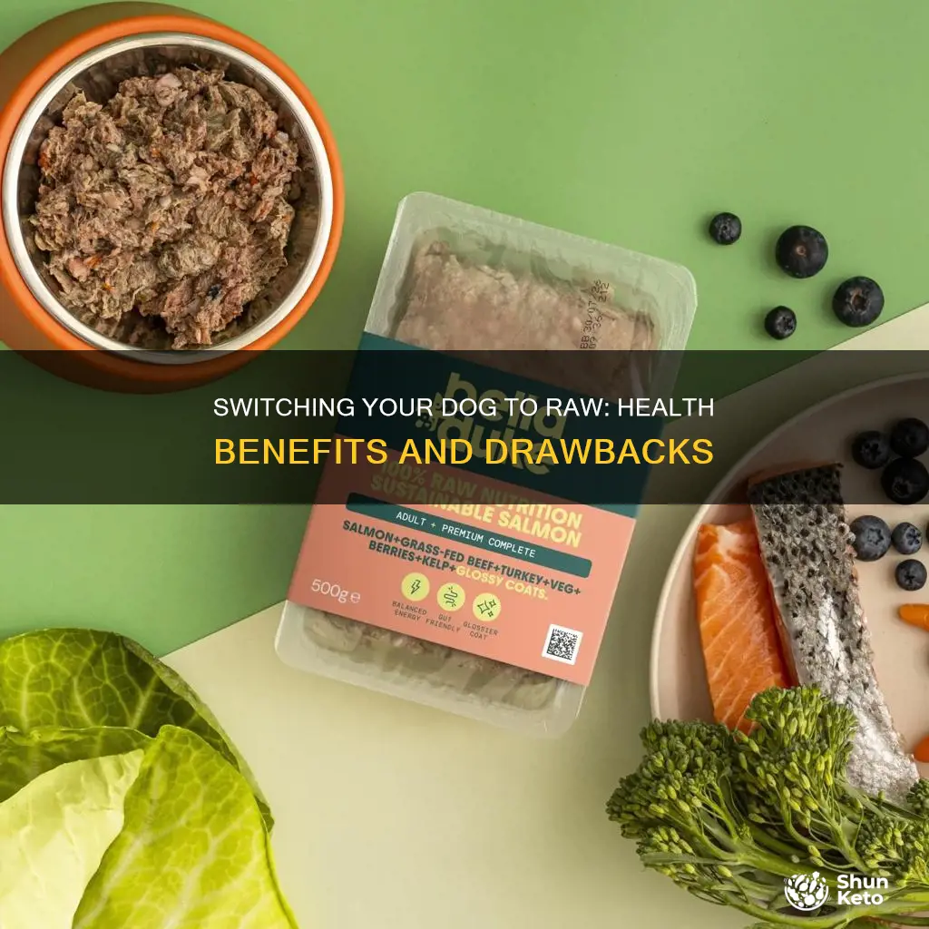 why switch a dog to a raw diet