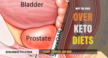 Unraveling the Keto Craze: Why the Fury Over Low-Carb Diets?