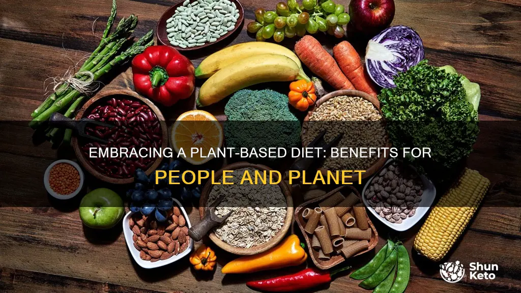 why transition to a plant based diet