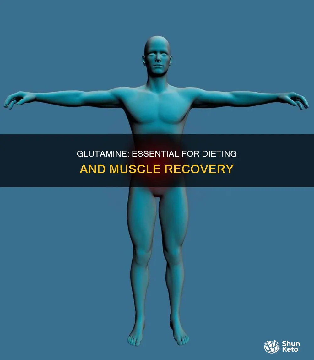 why use glutamine when dieting