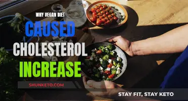 Vegan Diets: The Cholesterol Increase Mystery Explained