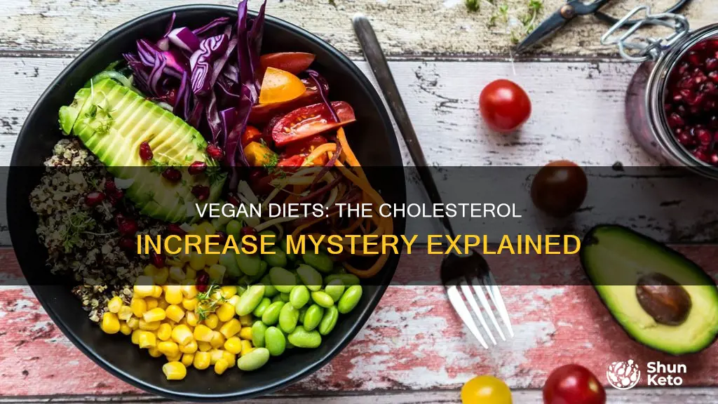 why vegan diet caused cholesterol increase