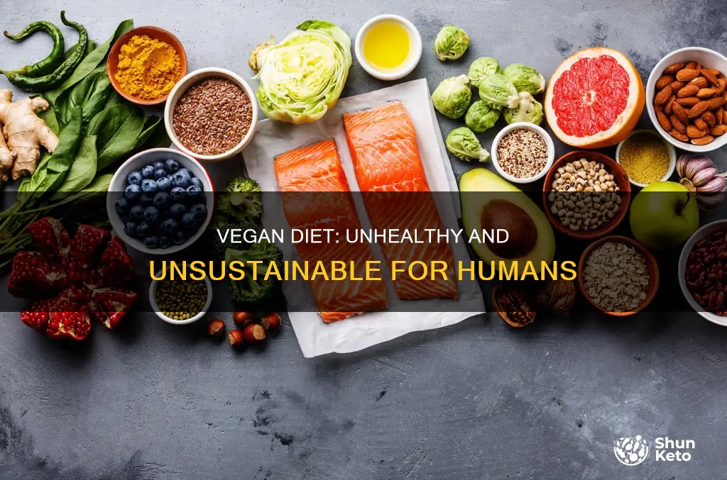 why vegan diet is not sustainable