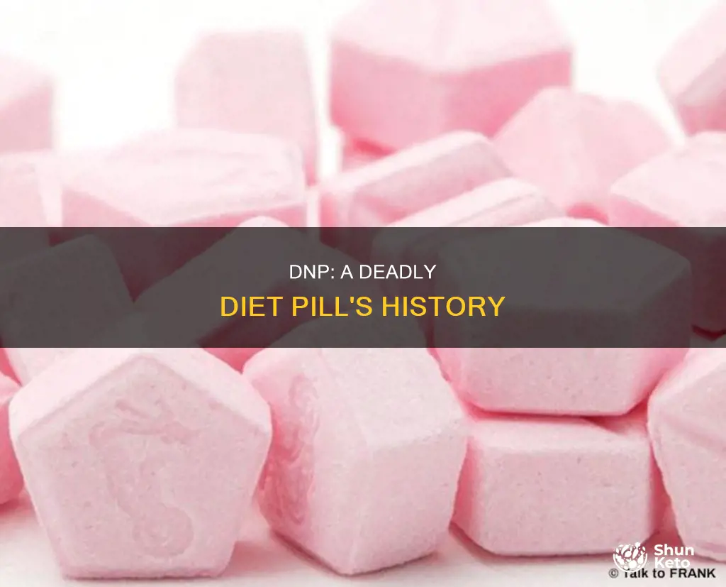 why was dnp used as a diet pill