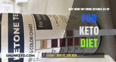 Why Urine Ketones Stay Low on Keto: Common Causes Explained
