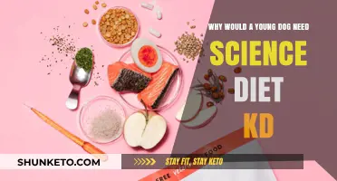 Science Diet KD: A Young Dog's Kidney Solution