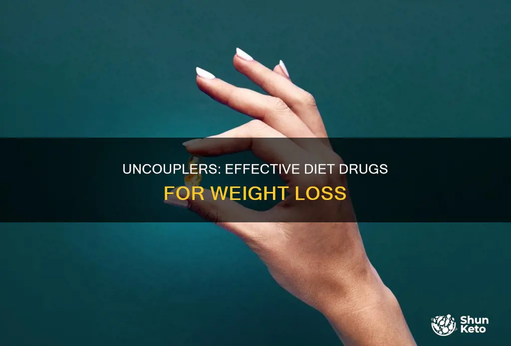 why would an uncoupler be an effective diet drug