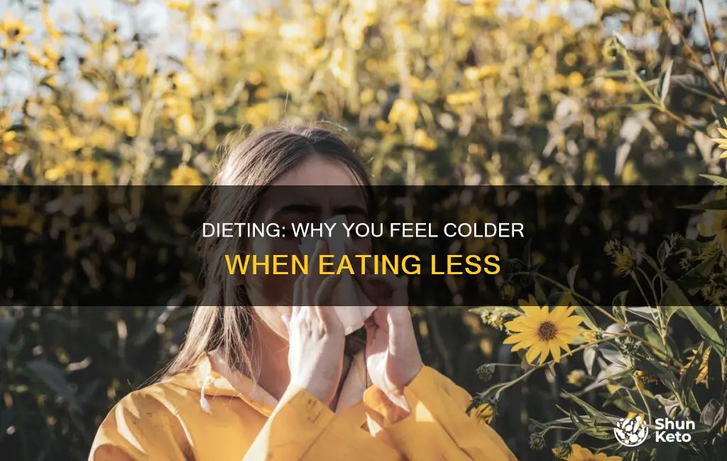 why would diet make me colder