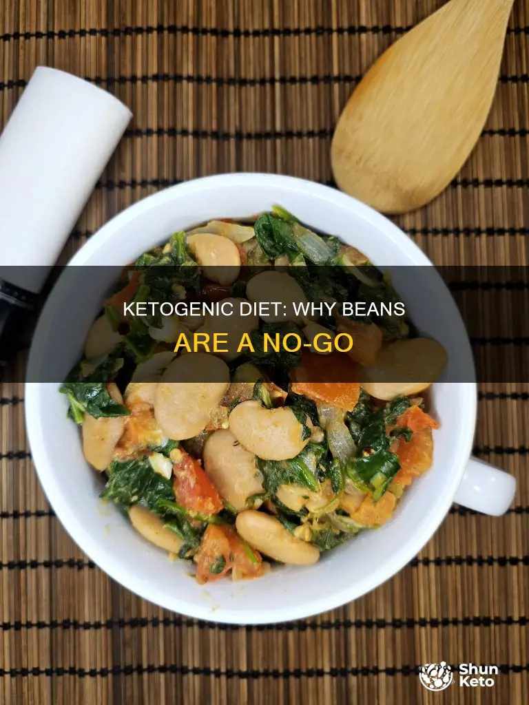 why would ketogenic diet ban beans