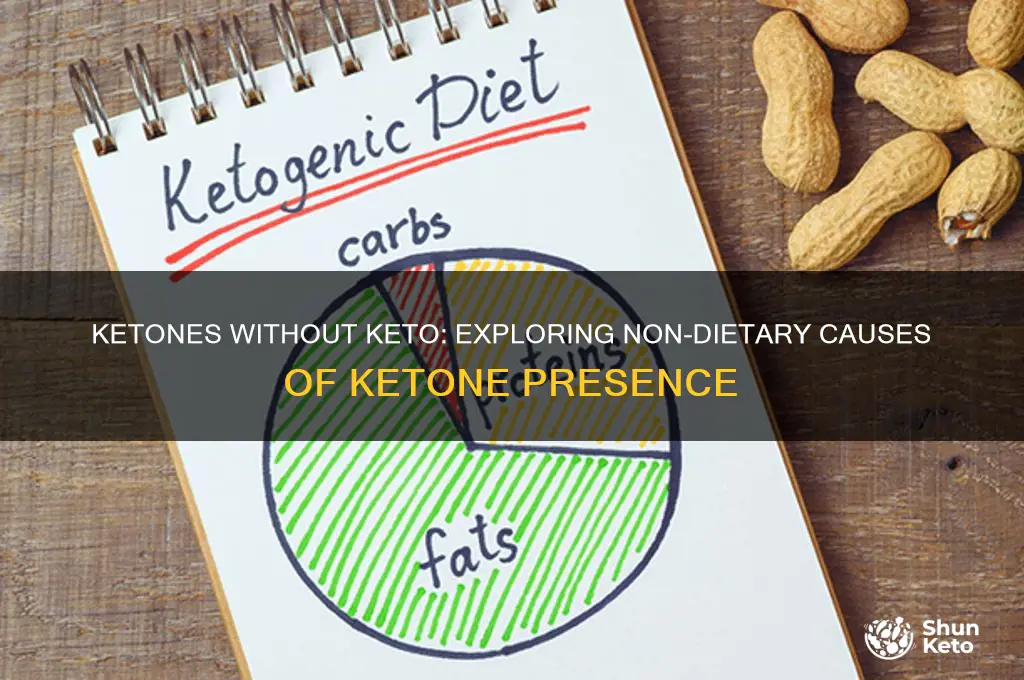why would some not on keto diet have ketones