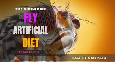 Yeast: The Secret Ingredient in Fruit Fly Diets