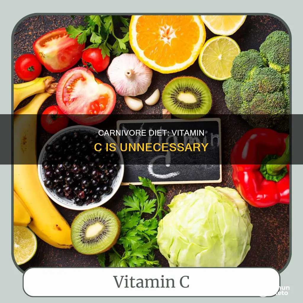 why you do not need vit c on carnivore diet
