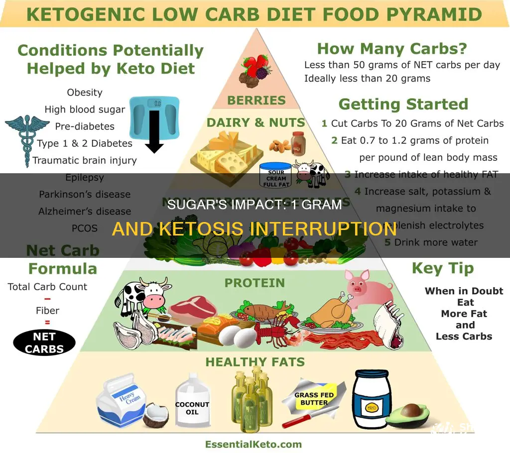 will 1 gram of sugar break ketosis