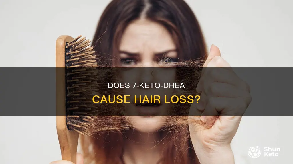 will 7 keto dhea cause hair loss