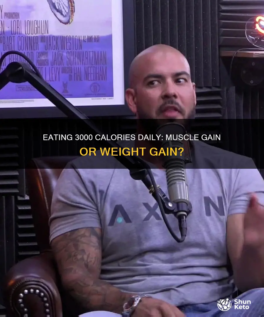 will a 3000 calorie diet build muscle