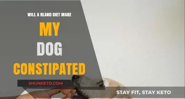 Bland Diet and Dog Constipation: What You Need to Know